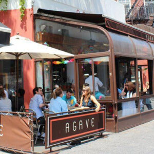 Agave